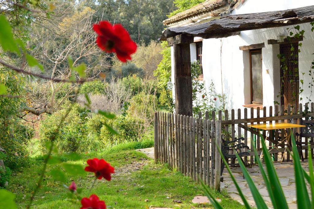 Casa Rural Ahoraya El Colmenar Екстер'єр фото