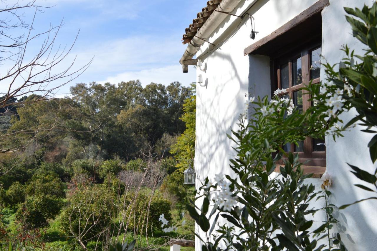 Casa Rural Ahoraya El Colmenar Екстер'єр фото